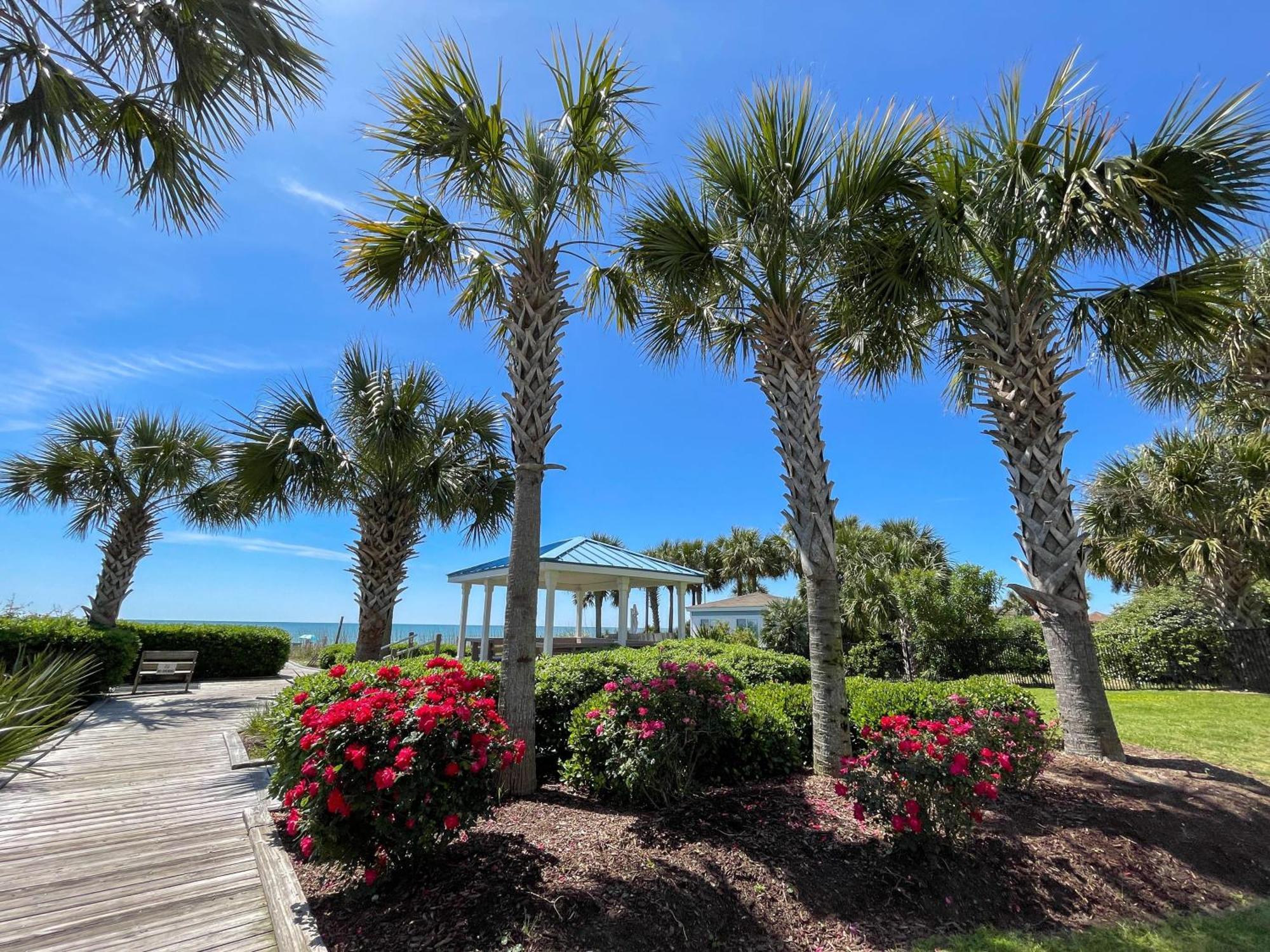Oceanfront Views With Resort Amenities شاطئ ميرتل المظهر الخارجي الصورة